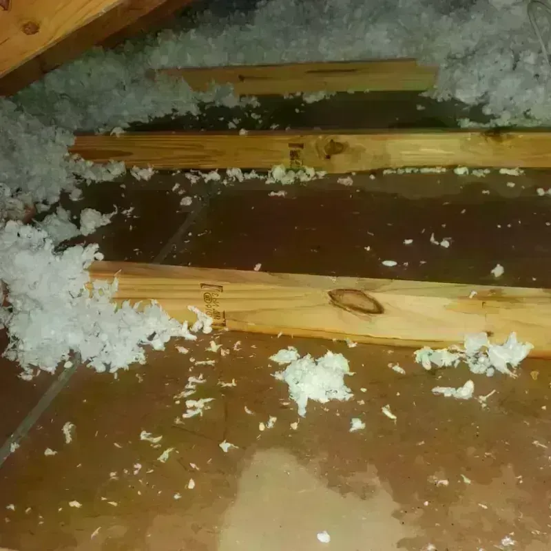 Attic Water Damage in Wheatland, CA